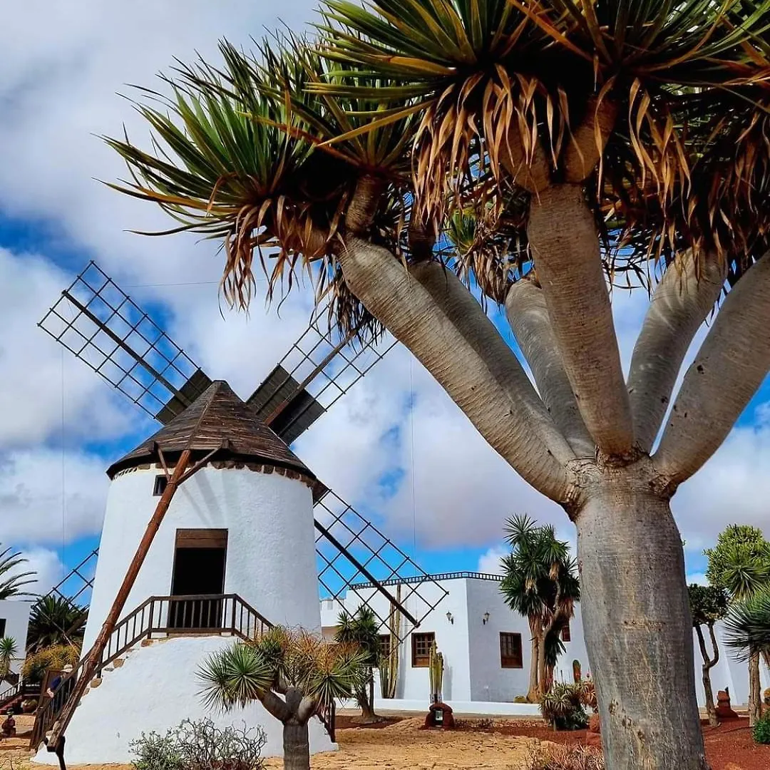 Casa Del Mar Air-Conditioned Apartment With Swimming Pools - Corralejo Playa